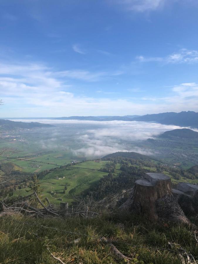 Montlinger Schwamm Ξενοδοχείο Oberriet Εξωτερικό φωτογραφία